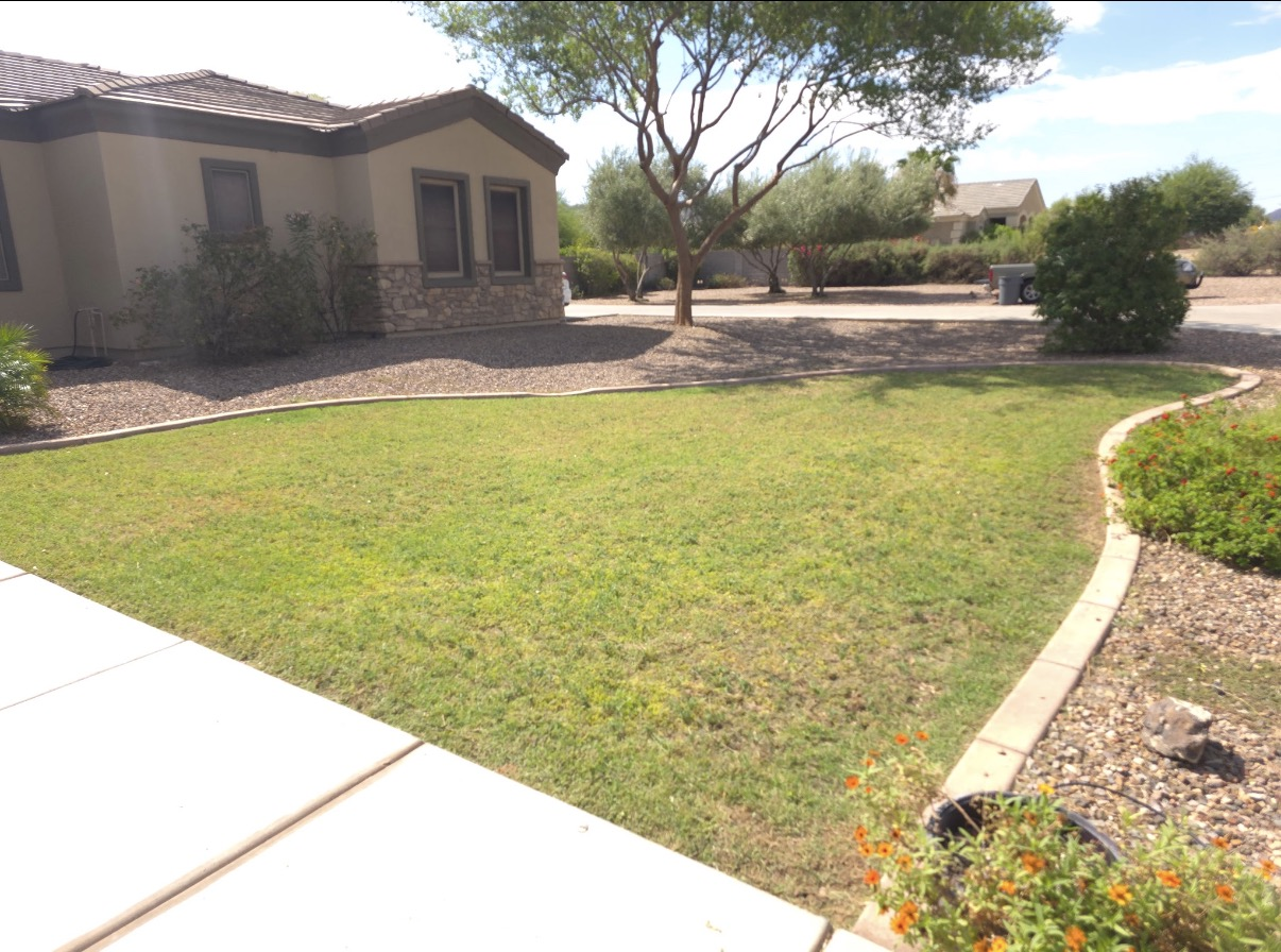 Manicured green lawn and desert landscaping in front of an Arizona home